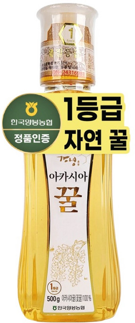 한국양봉농협 아카시아 꿀, 500g, 1개
