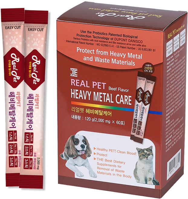 리얼Pet 반려동물 영양제, 60회분, 장건강/유산균, 1개