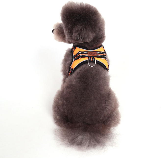 딩동펫 강아지 옥스포드 하네스, 오렌지, 1개