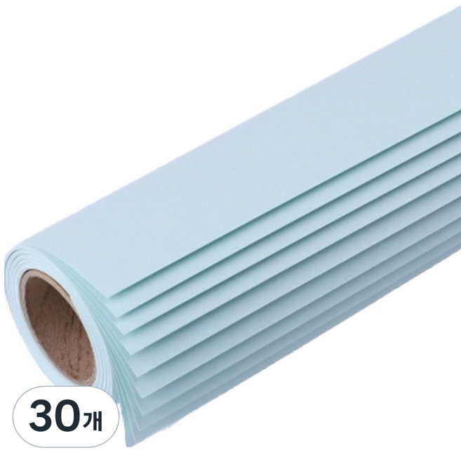 동성지공사 고급색지 78 x 54 cm, 민트색, 30개