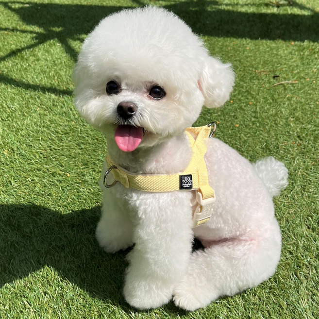 멍템 강아지 앞섬방지 팔레트 하네스, 파스텔 옐로, 1개