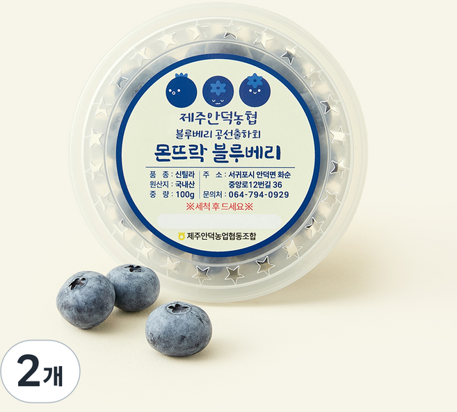 제주안덕농협 몬뜨락 왕블루베리, 2개, 100g