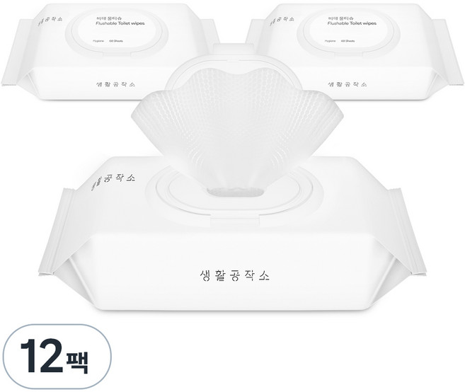 생활공작소 비데 물티슈 캡형, 60매, 12개