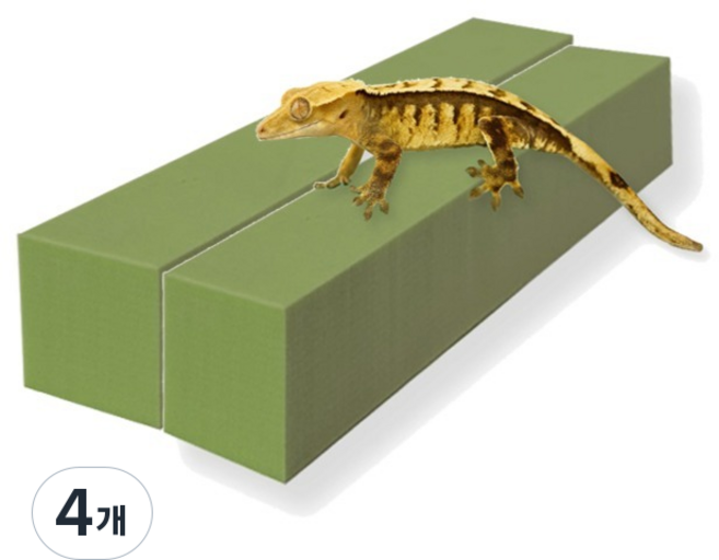 레몽크리프 도마뱀 파충류 크레스티드게코 EVA 고밀도백업 3 x 3 x 20 cm, 올리브, 4개