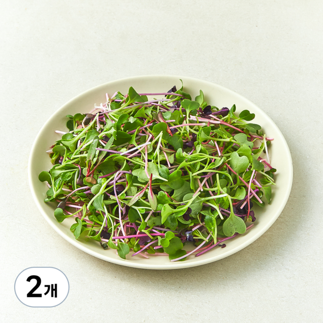 친환경 어린잎 채소, 500g, 2개