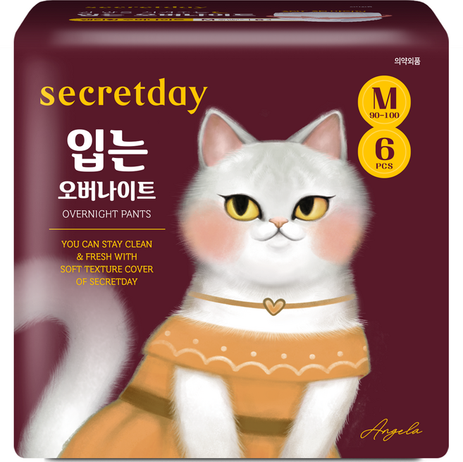 시크릿데이 입는 오버나이트, 중형, 6개입, 1개