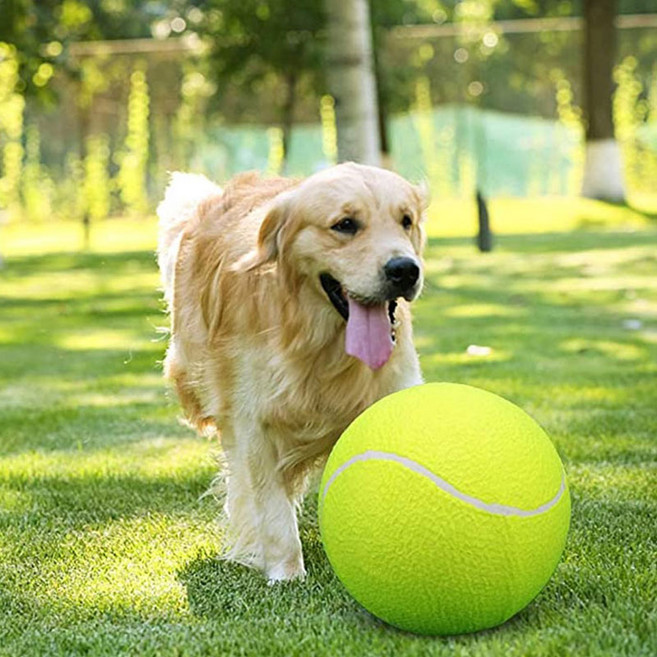 세이코코아 대형견 빅 테니스공 장난감, 그린, 1개
