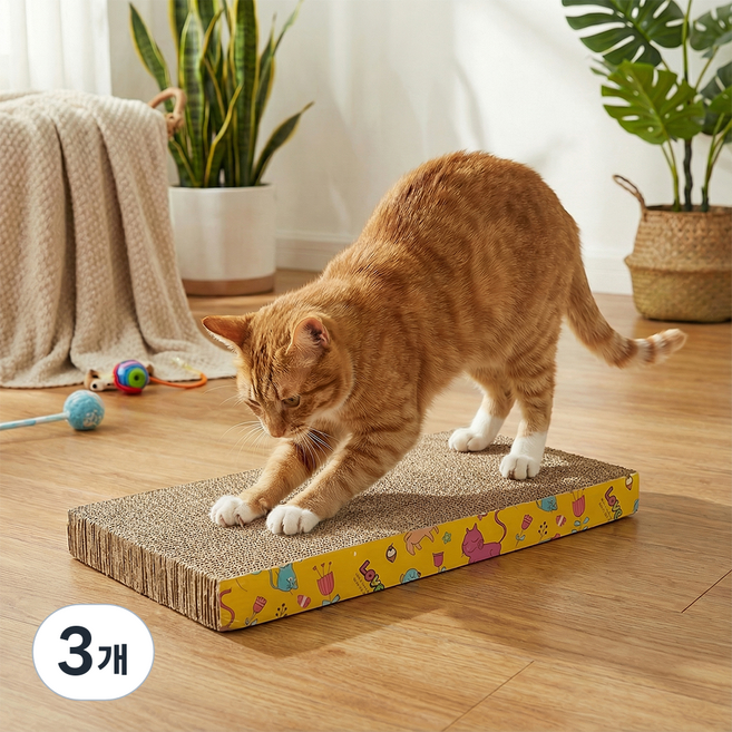 세이코코아 스퀘어 스크래쳐, 혼합색상, 3개