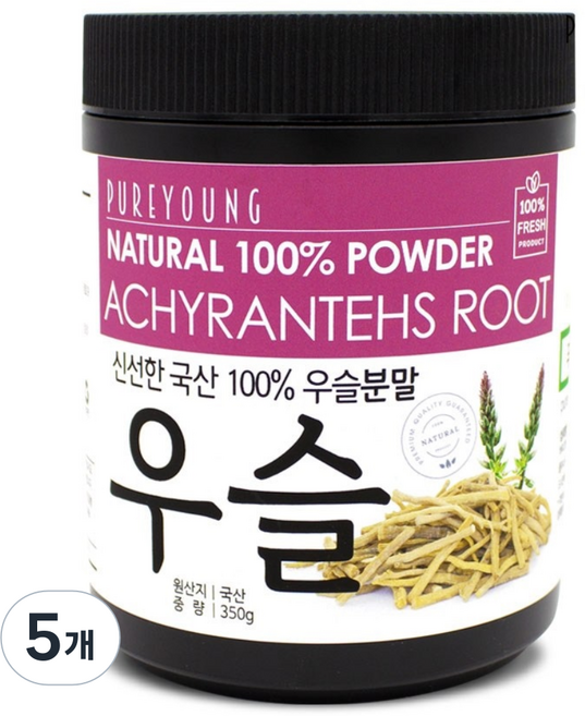퓨어영 우슬 분말 가루 쇠무릎뿌리, 5개, 350g