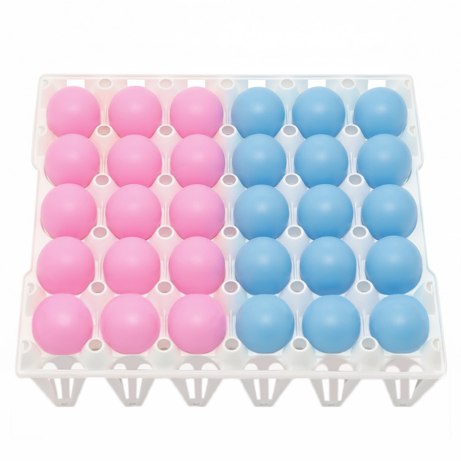 시작 계란판 빙고 탁구공 게임, 1세트, 화이트