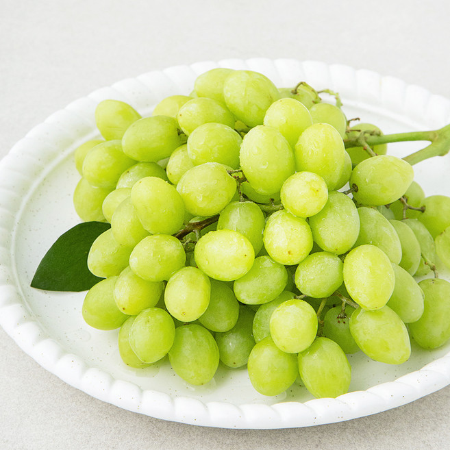 PSK 미국산 청포도 스텔라벨라, 490g, 1개
