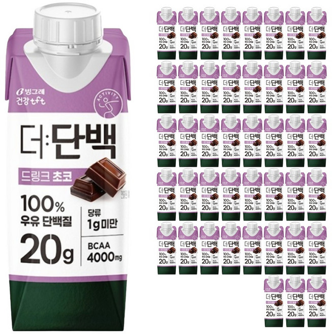 더단백 드링크 초코, 250ml, 54개