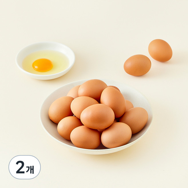 가농 오늘낳은 농장직송 오메가에그 1+ 등급 특란, 25구, 2개