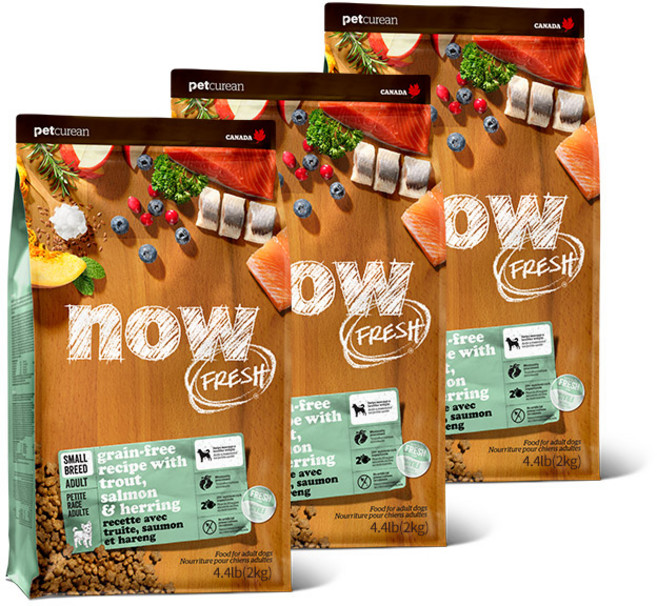 now 어덜트 강아지 프레쉬 스몰브리드 피쉬 레시피 건식사료, 연어, 2kg, 3개