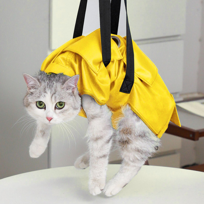 딩동펫 반려동물 물림방지 고정 미용가방 L, 옐로우, 1개