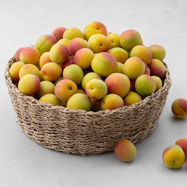 산지직송 청년농부 하동 황매실 L, 5kg, 1개