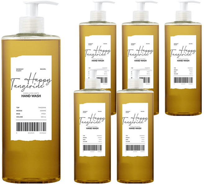 미미로린스 모먼트 플랜트 핸드워시 해피텐져린, 500ml, 6개