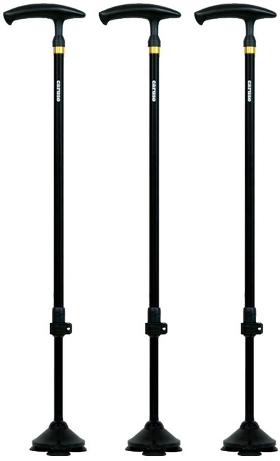 카루소 조절식 지팡이 C910 에브리원, 혼합색상, 3개