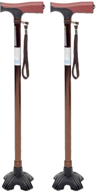 스탠딩지팡이 DS-050, 혼합색상, 2개