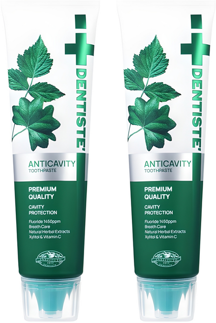 덴티스테 안티캐비티 치약, 100g, 2개