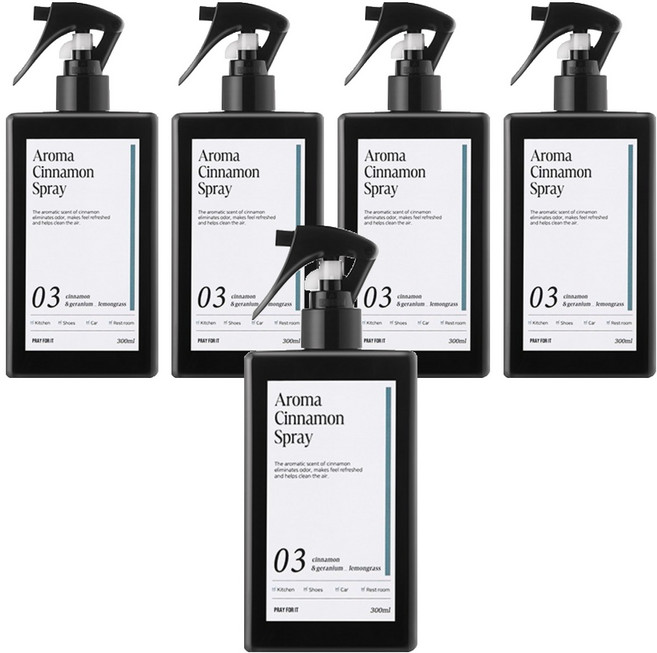 프레이포잇 아로마 시나몬 스프레이 탈취제 본품, 300ml, 5개