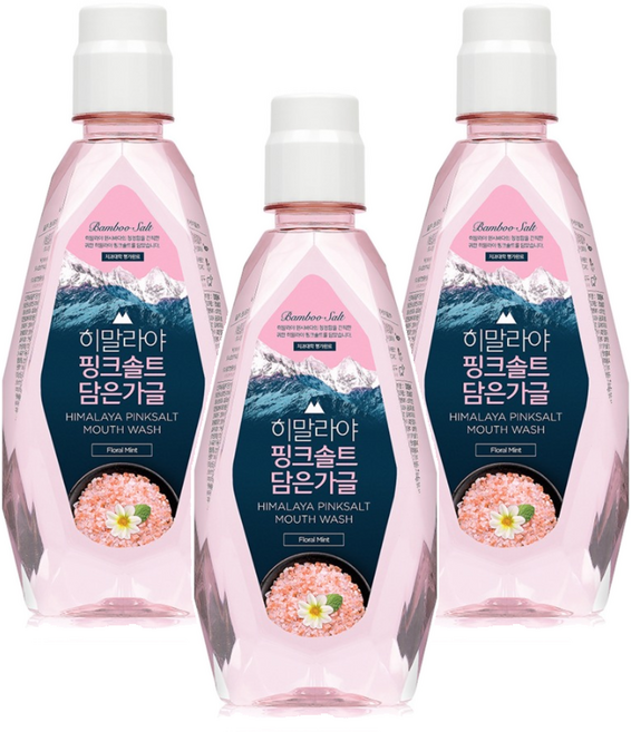히말라야핑크솔트 죽염 담은 가글 플로럴 민트, 320ml, 3개