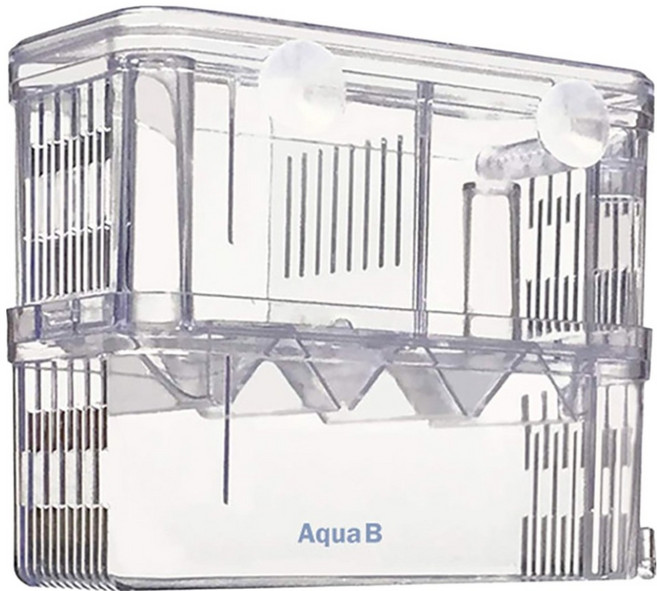 아쿠아비 물고기 분리형 부화통, 1개