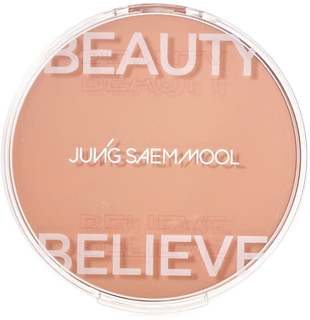 정샘물 아티스트 쿠션 블러쉬, 1개, 러디 베이지