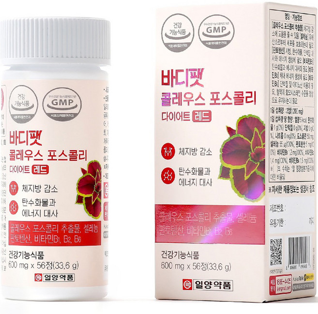 IL-YANG 一洋藥品 Body Fit毛喉鞘蕊花萃取能量錠, 56錠, 1罐