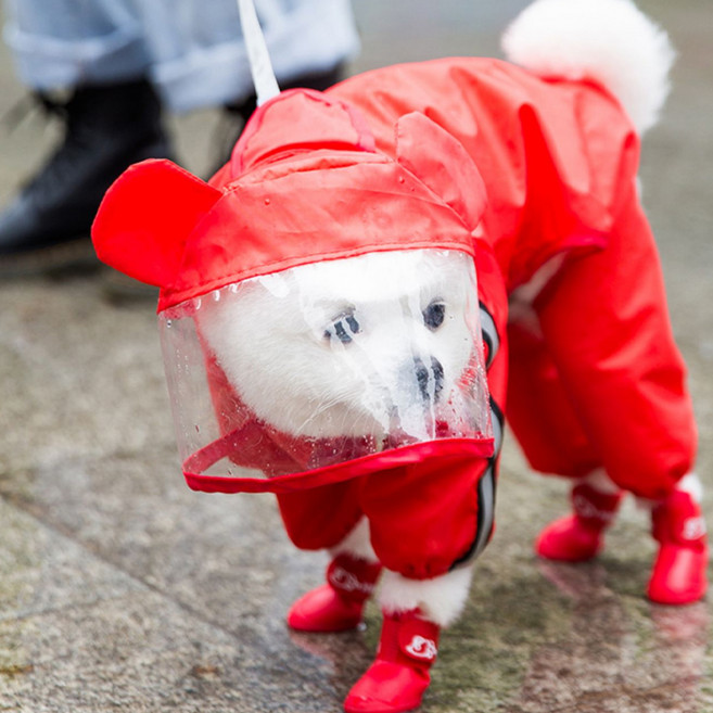 프랑온드 강아지 포 레그 방수 비옷, 레드 베어, 1개