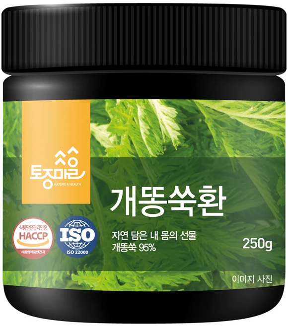토종마을 개똥쑥환, 1개, 250g - 쿠팡
