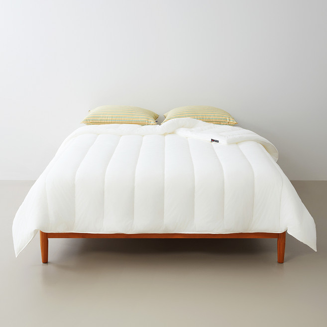 센타스타 레볼루션 프리미엄 솔로 이불