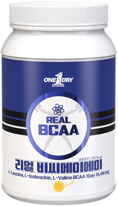 원데이뉴트리션 리얼 BCAA, 1개, 500g