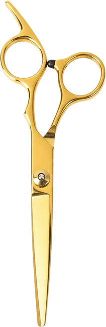 Paris Spring 巴黎春天 輕時尚職人級剪刀 17cm 鋒利刀刃不打滑 人體工學設計, 流沙金, 1支