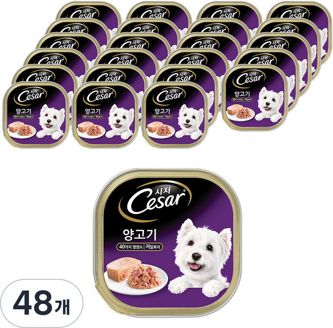 시저 1세 이상 강아지 주식캔, 100g, 양, 48개