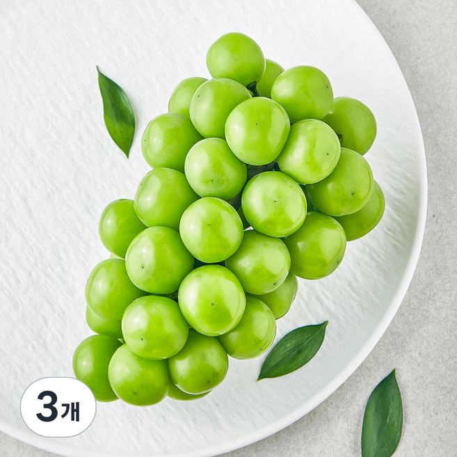 영길팜 당도선별 샤인머스캣, 500g, 3개