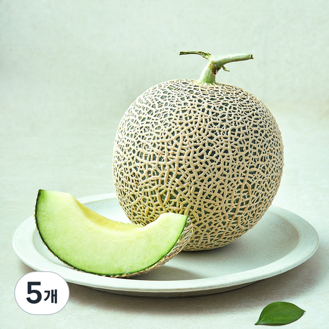 가온누리 머스크 멜론, 5개, 1.2kg