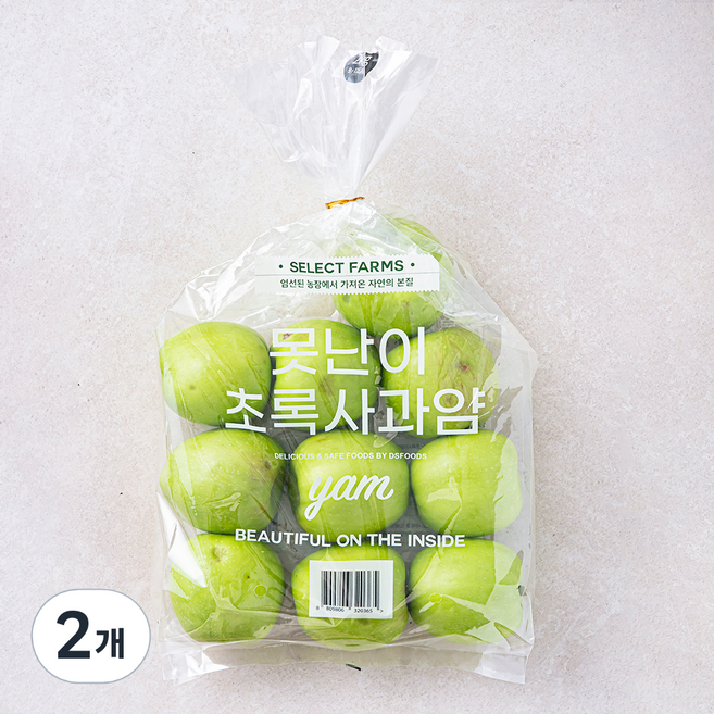 셀렉트팜 GAP 인증 못난이 초록사과 얌 중과, 2개, 2kg(9~11입)