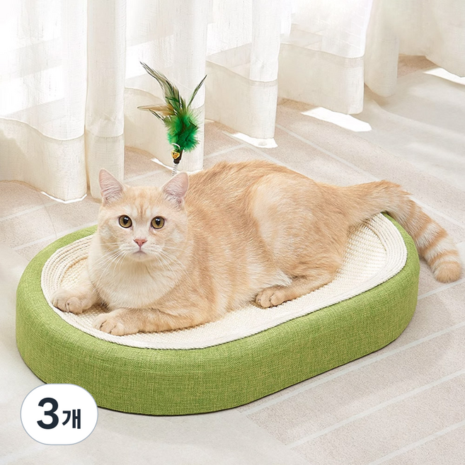딩동펫 고양이 사이잘 눕눕 스크래쳐 캣닢 침대 타원형, 그린, 3개