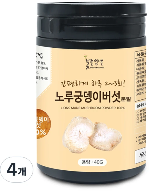 노루궁뎅이버섯 분말, 4개, 40g - 쿠팡