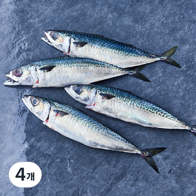 부산 간고등어 2손 해동 (냉장), 4개, 900g(대)