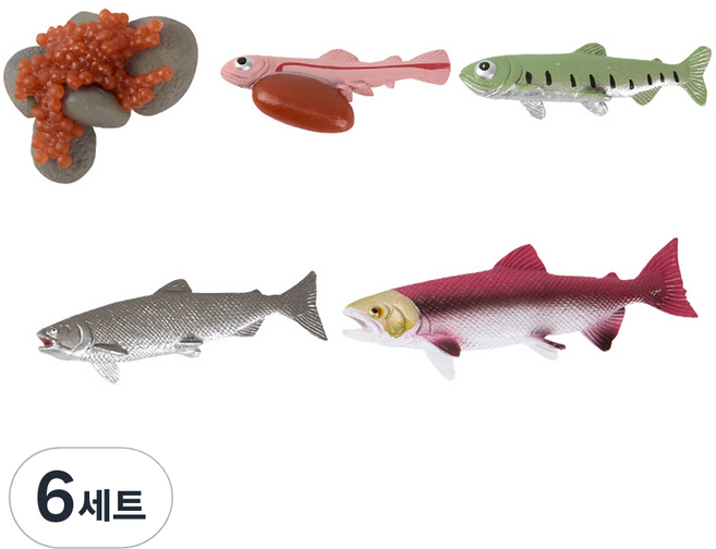 캐스비 네이처 성장 과정 연어 피규어 세트, 6세트