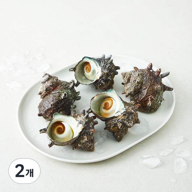 완도맘영어조합법인 자연산 뿔소라 5~10마리 (냉장), 2개, 1kg 내외