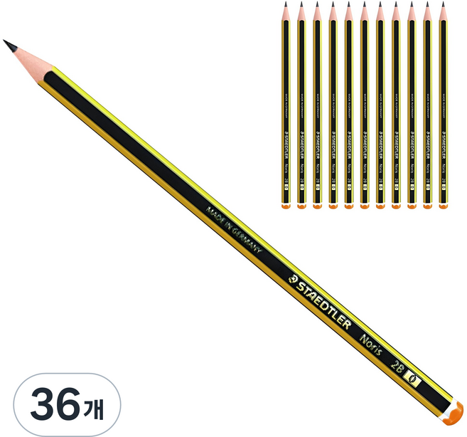 스테들러 노리스 120연필 2B, 36개