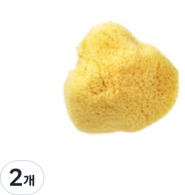 뷰티풀스킨 세안용 천연해면 스펀지 미디엄, 2개