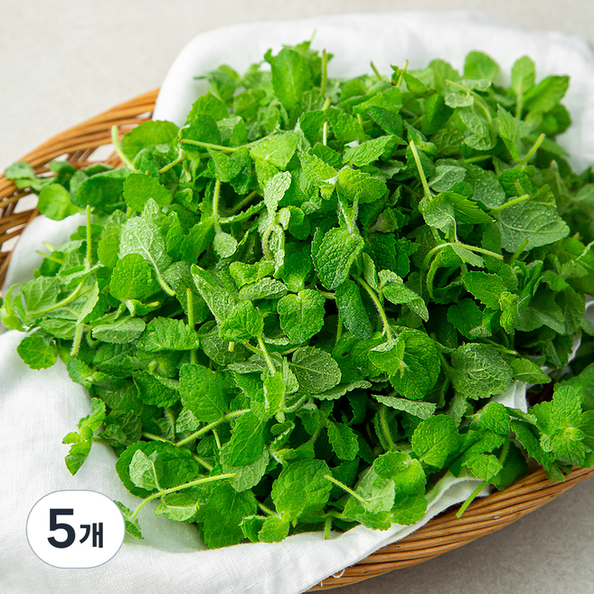 국내산 애플민트, 100g, 5개