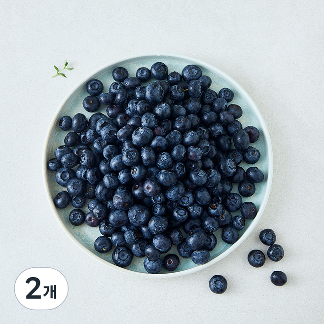 수플린 미국산 블루베리, 2개, 500g