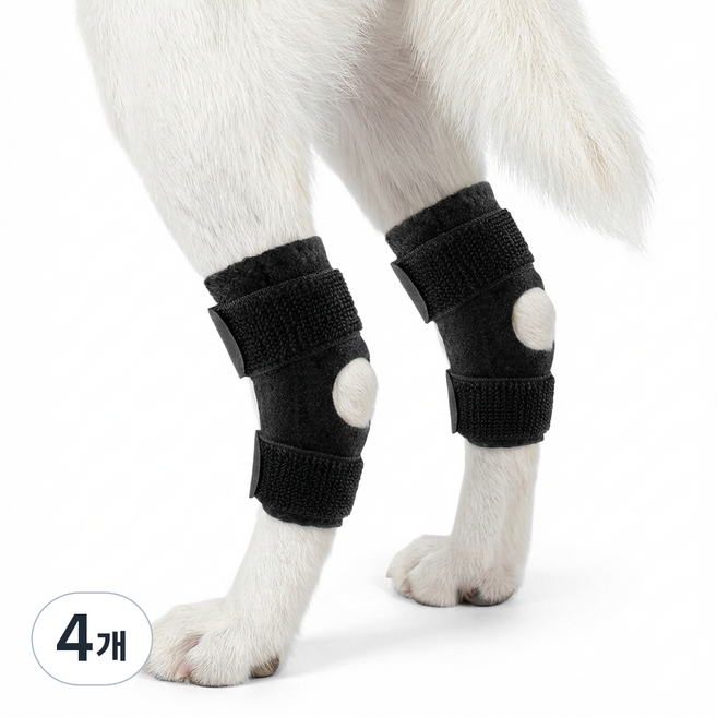 데일로움 강아지 관절 보호 지지대 M, 30g, 4개