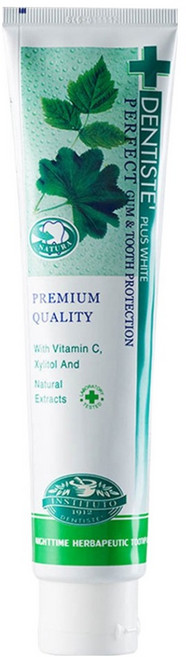 덴티스테 플러스 화이트 치약, 200g, 1개