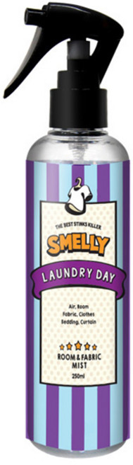 스멜리 룸앤패브릭, 250ml, 1개, 런드리데이